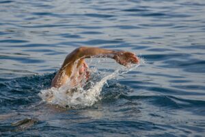 Leistungsschwimmer - Wie stark muss die Gegenstromanlage sein?